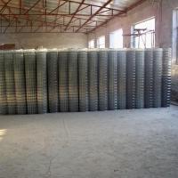 Large picture Cage Mesh