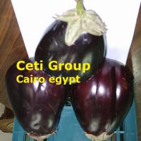 Large picture eggplant