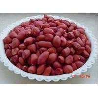 Large picture chinese silihong peanut kernels