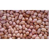 Large picture round peanut kernel