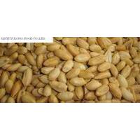 Large picture roasted and salted peanut kernels