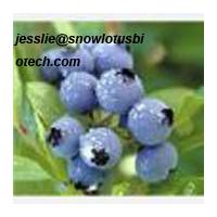 Large picture Blueberry anthocyanin