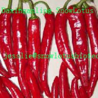 Large picture Capsicum annuum extract