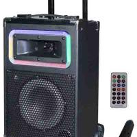 Large picture portable speakers