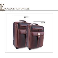 Large picture trolley case