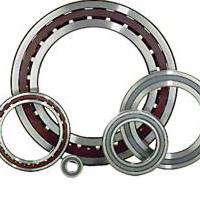 Large picture Angular Contact Ball Bearing