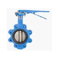 Large picture Lug Type Butterfly Valve