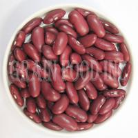Large picture Dark Red Kidney Bean