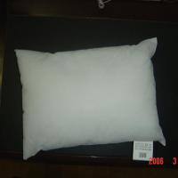 Large picture airline pillow