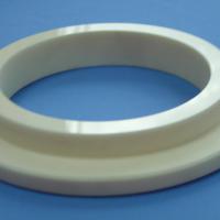 Large picture ceramic seal ring