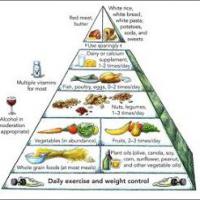 Large picture Heathy Food