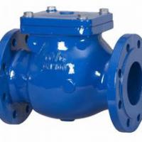 Large picture DIN CAST IRON F6 SWING CHECK VALVE