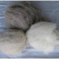Large picture cashmere fibre