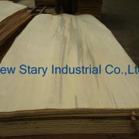 Large picture Rotary Cut Wood Veneer