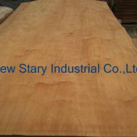 Large picture Rotary Cut Dillenia Veneer
