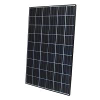 Large picture Polycrystalline solar module 250W