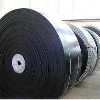 Large picture nylon conveyor belt