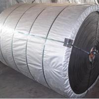 Large picture EP Conveyor Belt