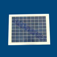 Large picture 10W poly solar panel and solar modules