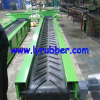 Large picture Pattern Conveyor Belt