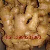 Large picture dried ginger