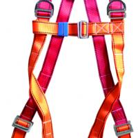 Large picture full body safety harness