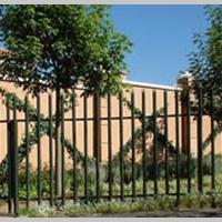 Large picture palisade fence