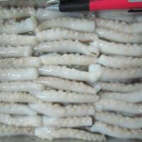 Large picture Frozen Cut Poulp Squid