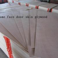 Large picture door skin plywood