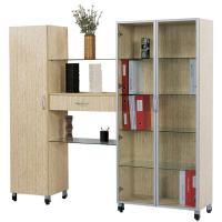 Large picture modern wooden bookcase