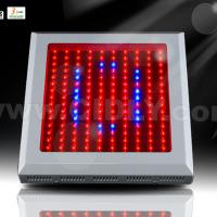 Large picture 150W LED Grow Lights