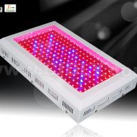 Large picture 200W LED Grow Lights