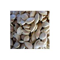 Large picture Pumpkin Seed Extract 4:1,10:1