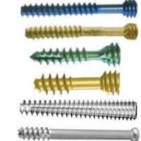 Large picture cannulated screw system
