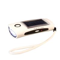 Large picture solar torch FL023B