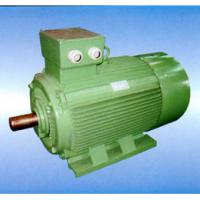 Large picture Y series (IP44/54) pump motor