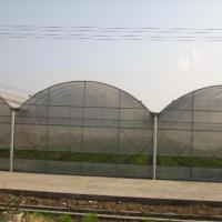 Large picture Multi-span greenhouse film