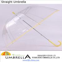 Large picture Transparent PVC Umbrella