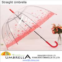 Large picture Transparent Straight Umbrella