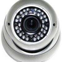 Large picture CCTV security Dummy dome camera