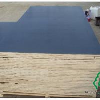 Large picture Chinese film faced plywood/marine plywood
