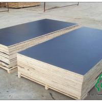 Large picture black film faced plywood