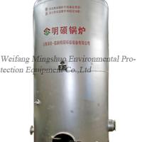 Large picture biogas boiler