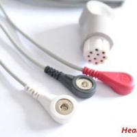Large picture Datex ECG cable,EKG cable