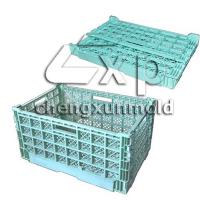 Large picture Folding crate mould | Collapsible crate mould