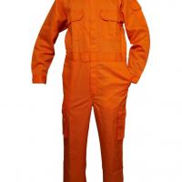 Large picture Coverall