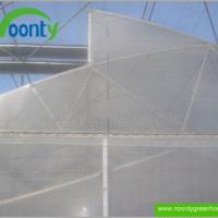 Large picture Saw-Tooth Fixed Roof Greenhouse