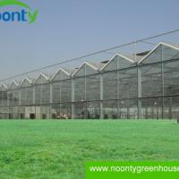 Large picture Venlo Glass Greenhouse