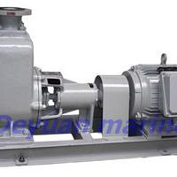 Large picture marine horizontal self-priming centrifugal pump
