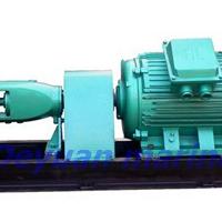 Large picture marine horizontal centrifugal pump